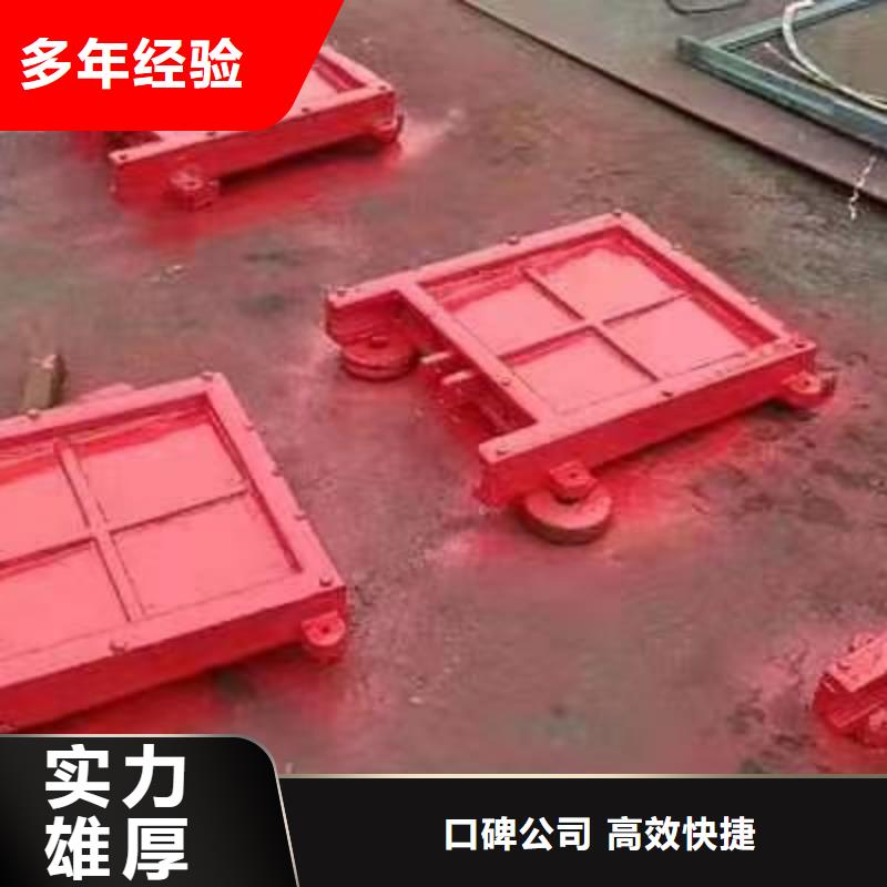 双向止水闸门现货全国配送