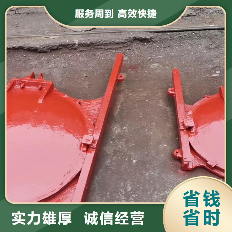 河道铸铁闸门-闸门启闭器一站式