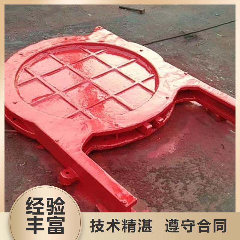 一体铸铁闸门匠心品质