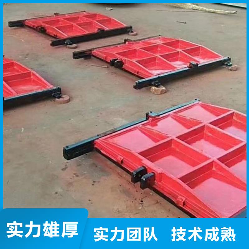 泵站小型方型闸门原厂