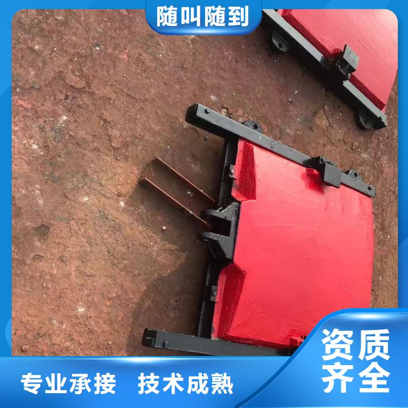 镶铜铸铁止水双向闸门批发厂家