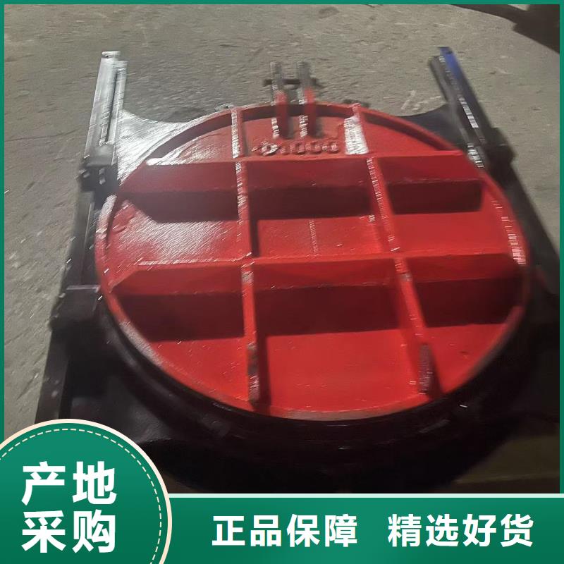 铸铁镶铜闸门_立体闸门生产厂家销售价格