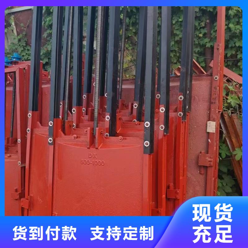 规格全的镶铜铸铁闸门现货厂家