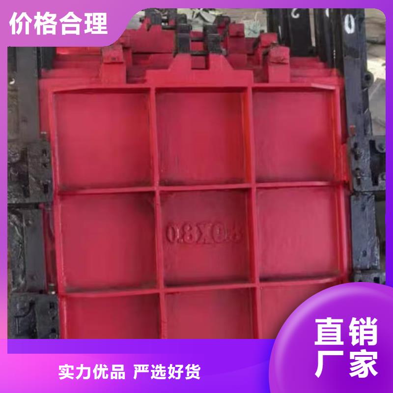 铸铁闸门-水电站启闭机闸门信誉良好