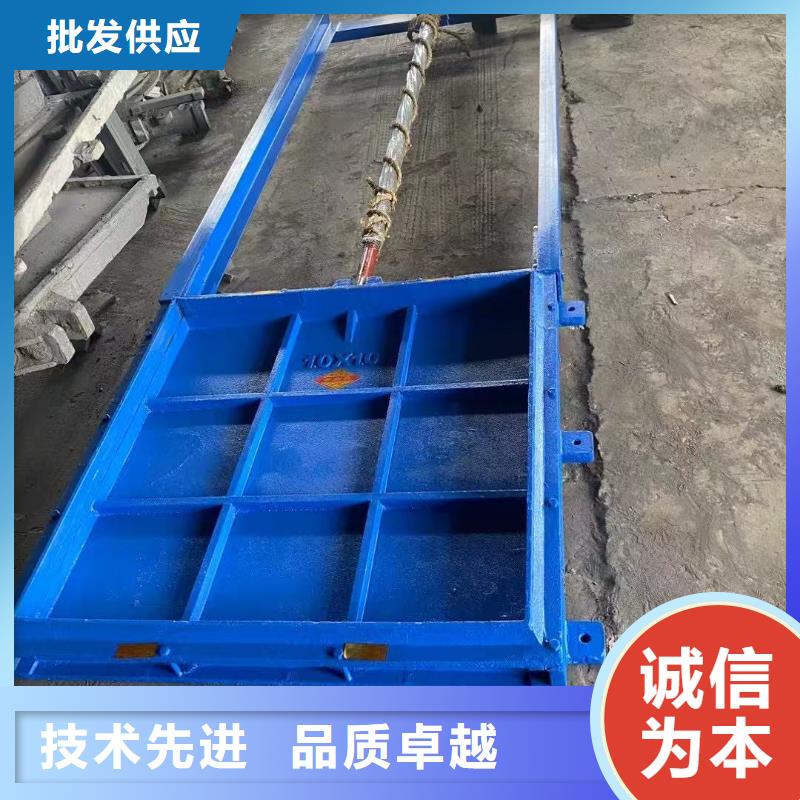 铸铁镶铜闸门-pz镶铜铸铁圆形闸门口碑极佳