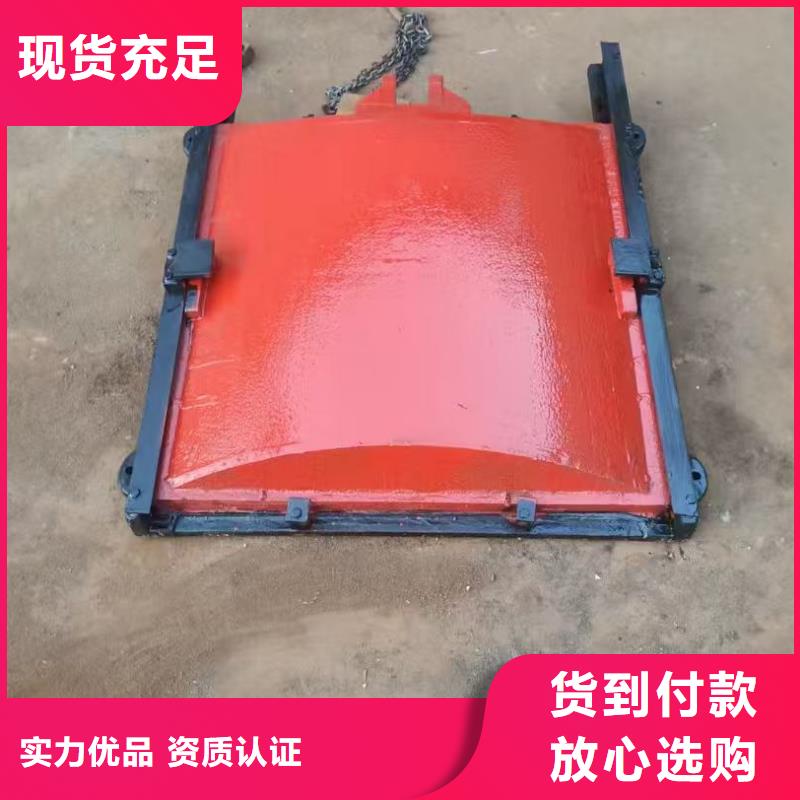 PGZ型铸铁闸门直供厂家