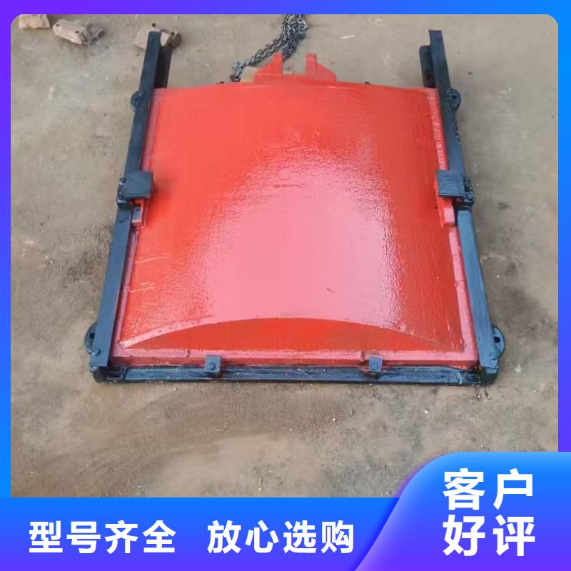 渠道闸门-PZ双向止水铸铁镶铜闸门免费安装调试