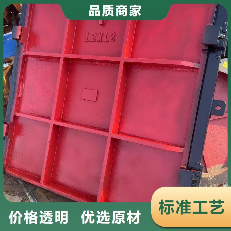 闸门与启闭机-实业厂家