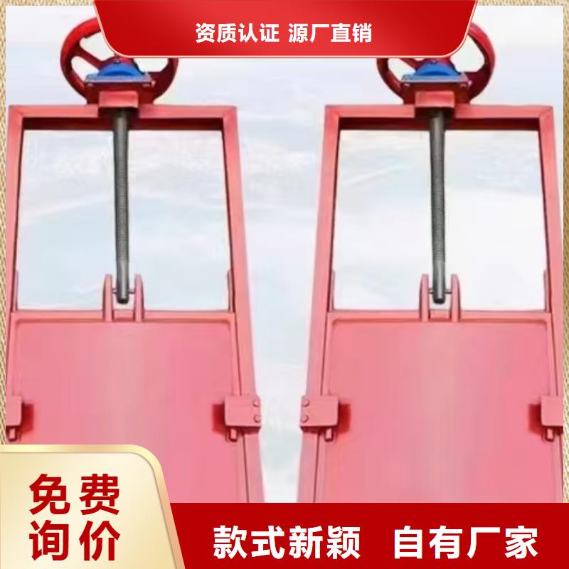 启闭机闸门-双向转动闸门技术领先
