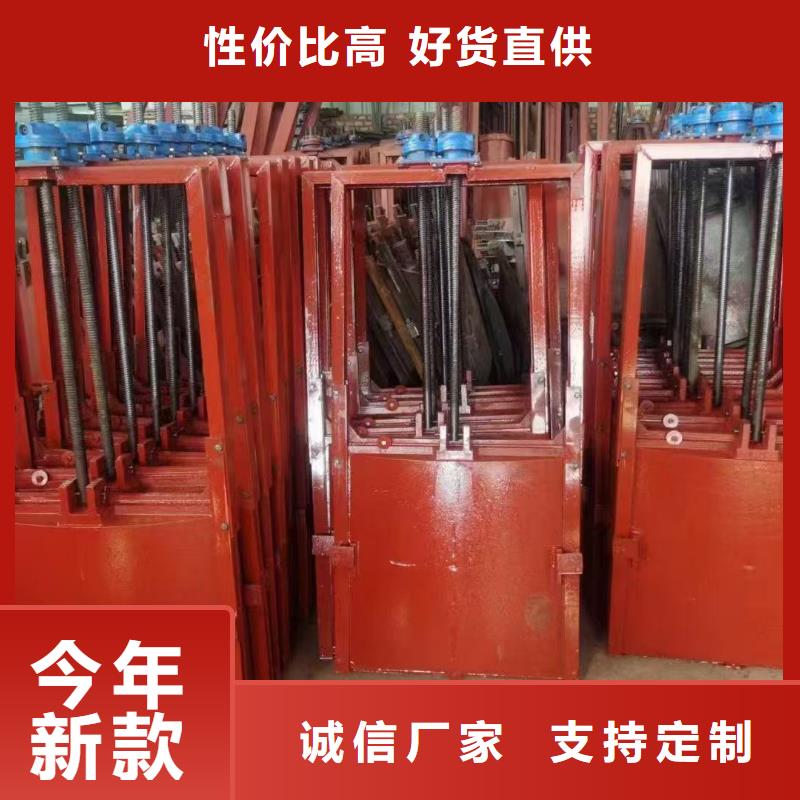 双向止水闸门现货全国配送