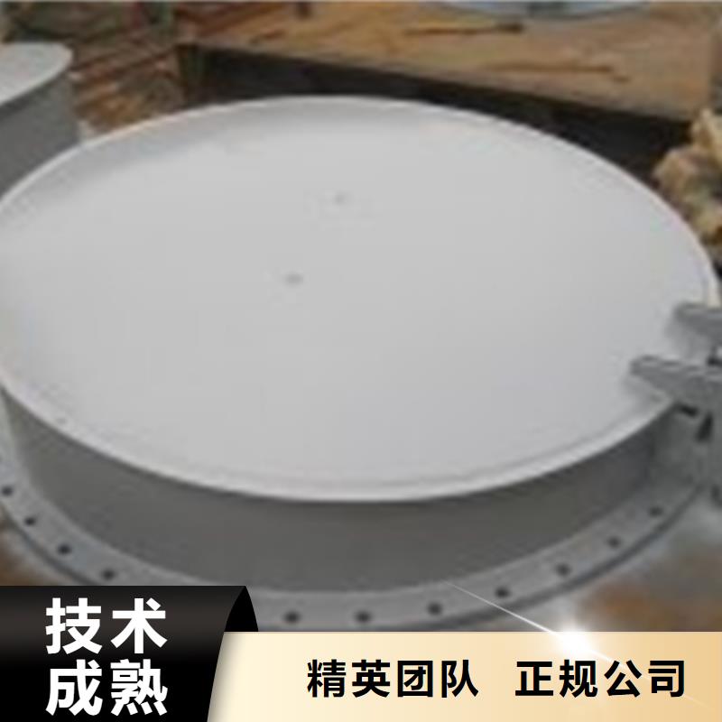 长期供应侧翻式单开不锈钢拍门
