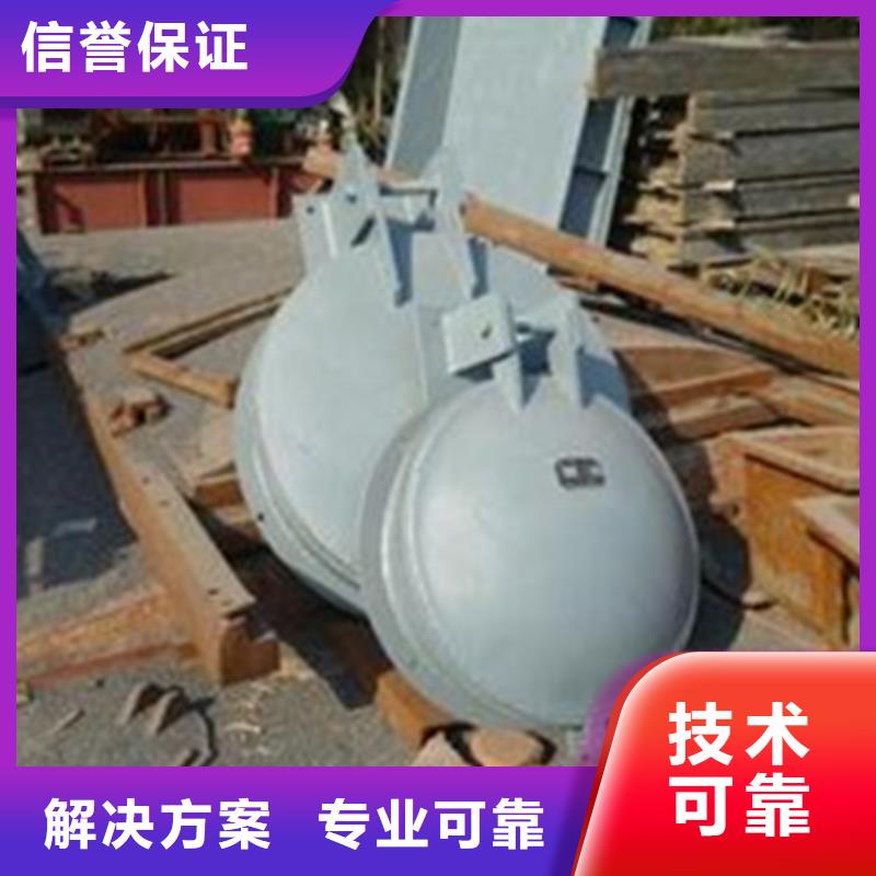 防倒灌拍门