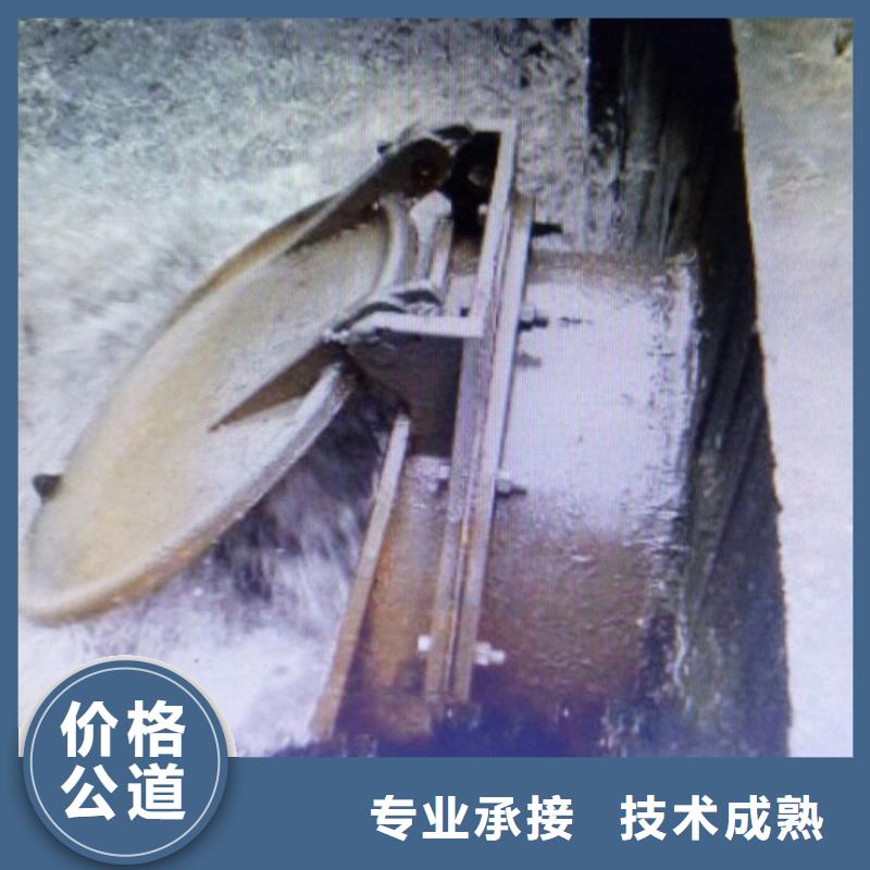 方形节能型自由侧翻式拍门厂家发货迅速