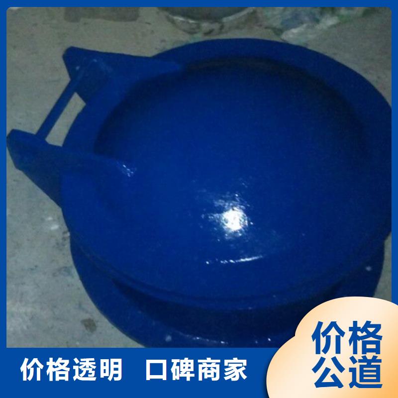 长期供应侧翻式单开不锈钢拍门
