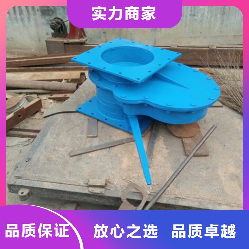 长期供应侧翻式单开不锈钢拍门