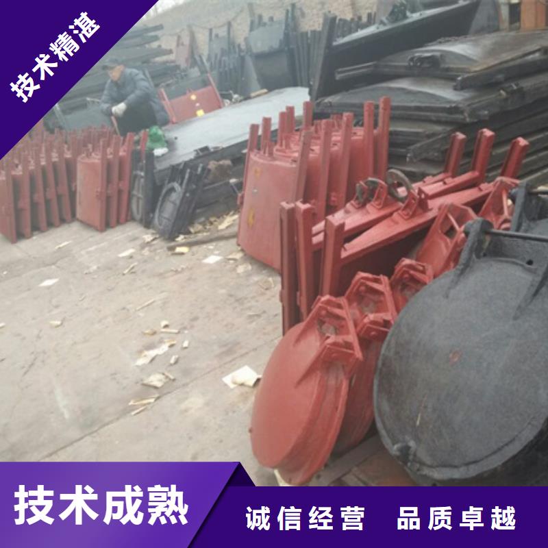 长期供应侧翻式单开不锈钢拍门