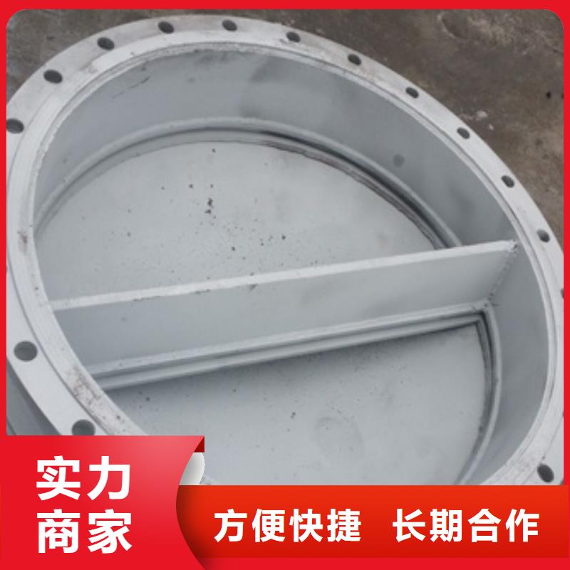 选购防倒灌管道拍门可按需定制