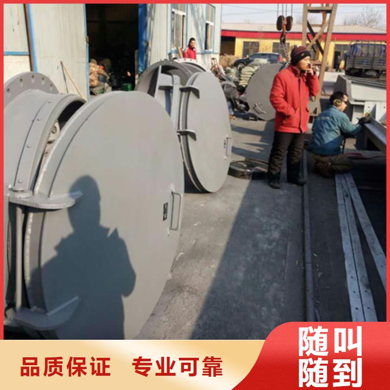 长期供应侧翻式单开不锈钢拍门