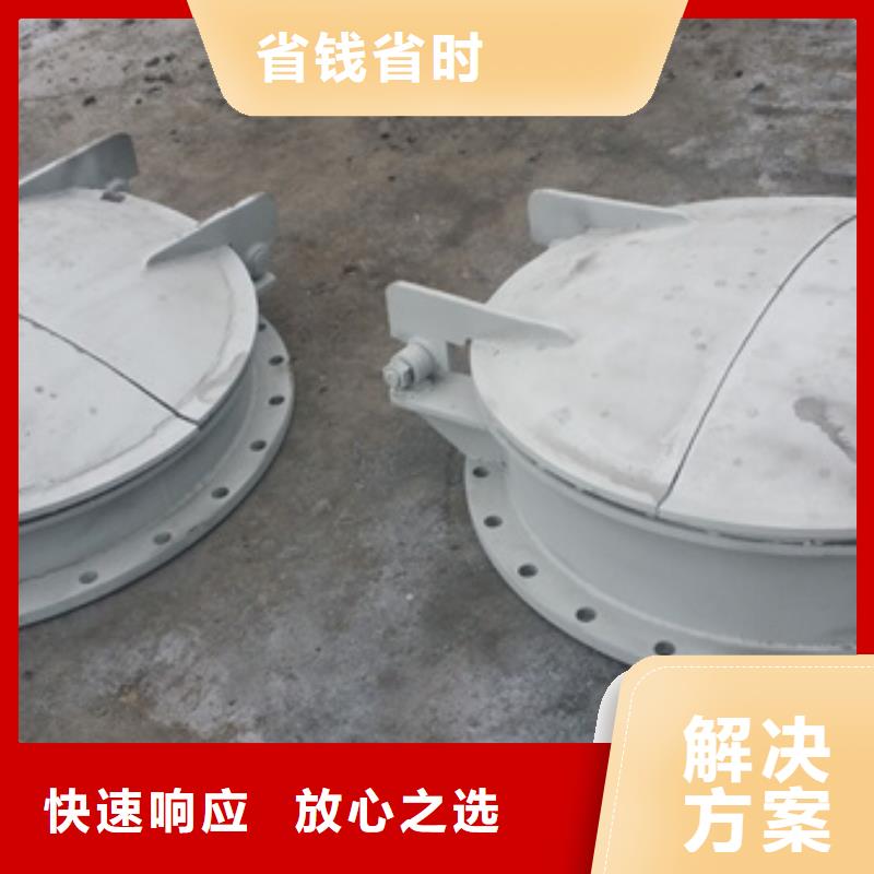 长期供应侧翻式单开不锈钢拍门