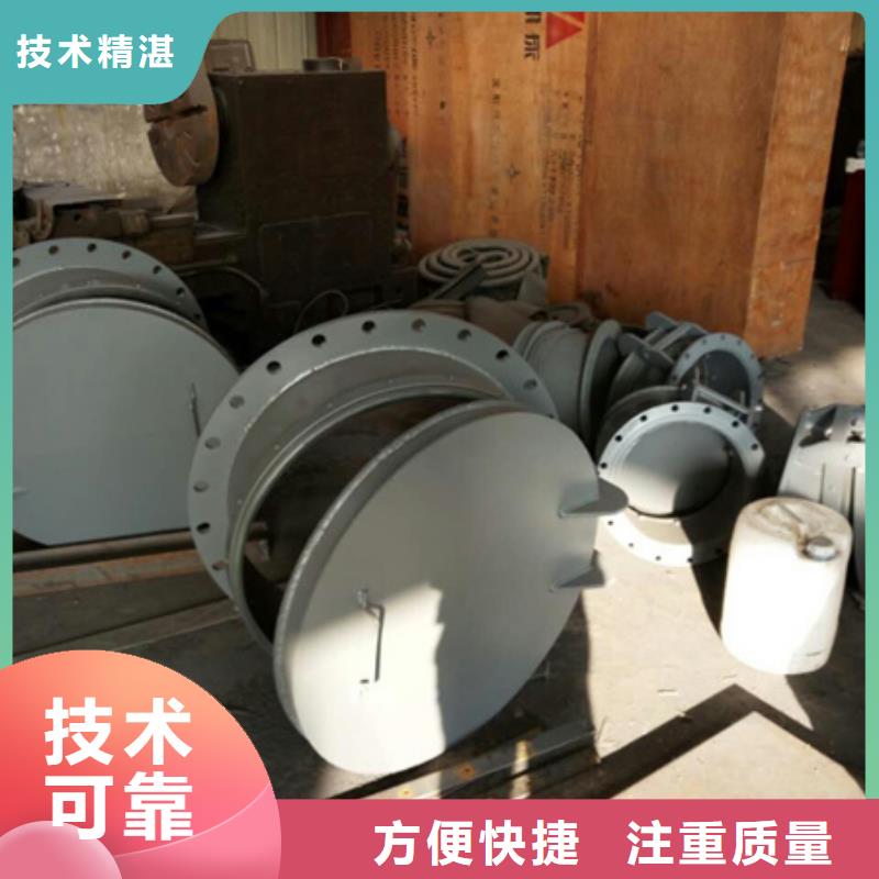 长期供应侧翻式单开不锈钢拍门