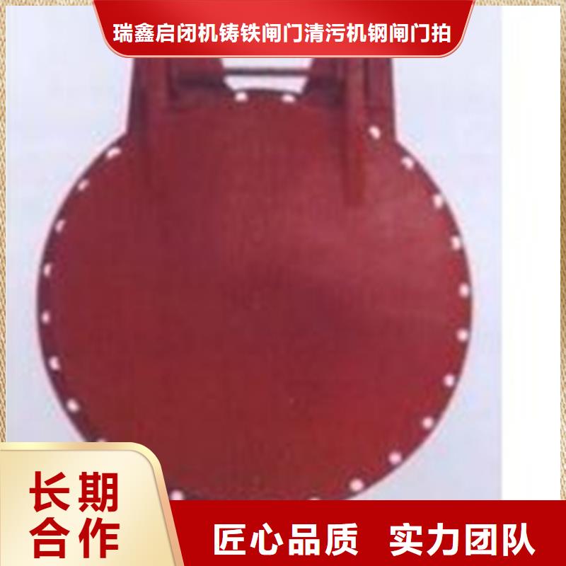 长期供应侧翻式单开不锈钢拍门