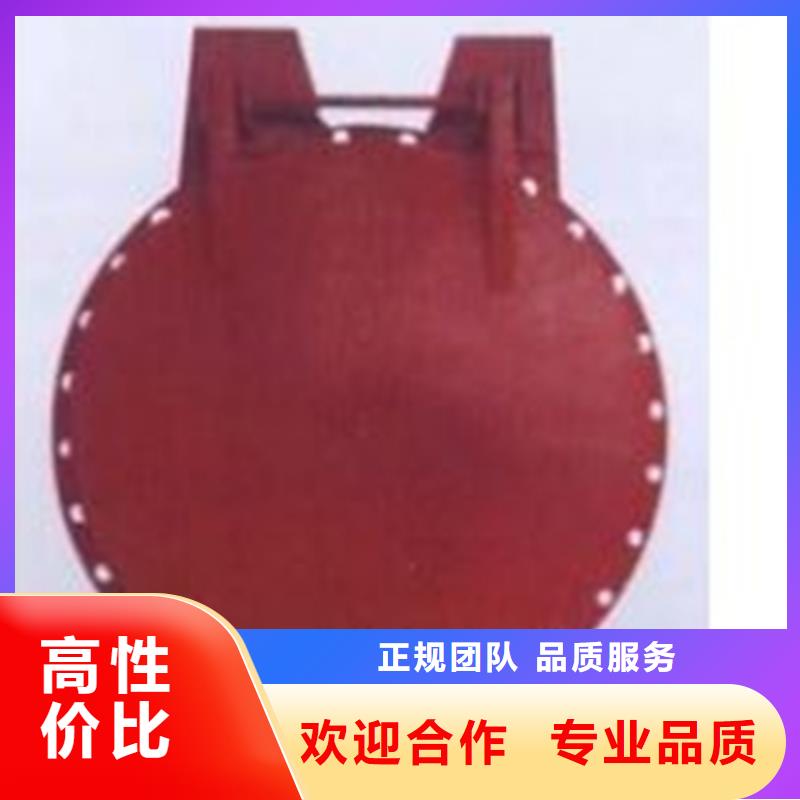 选购防倒灌管道拍门可按需定制