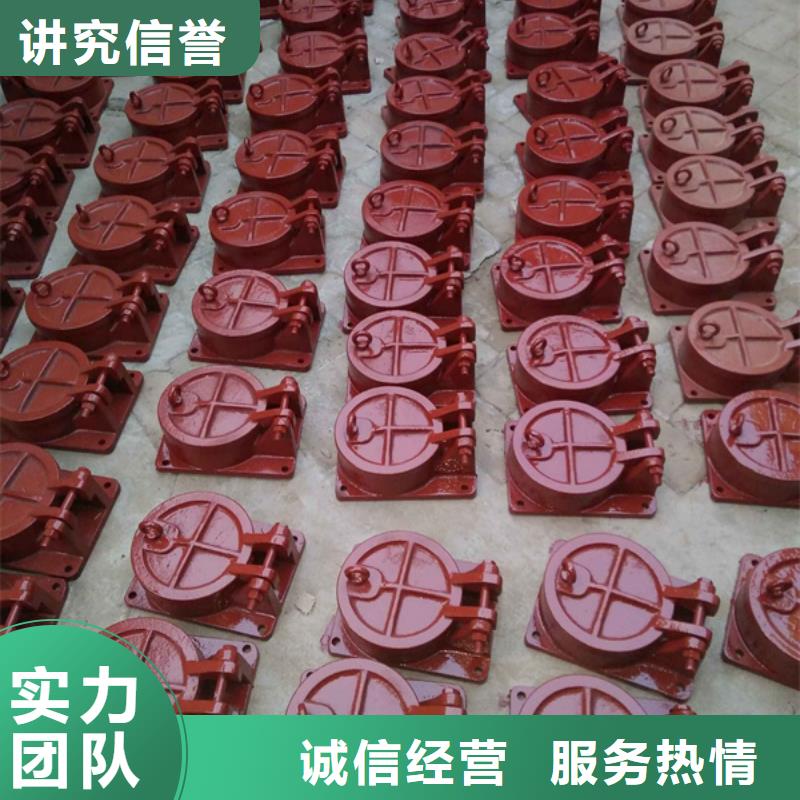 长期供应侧翻式单开不锈钢拍门