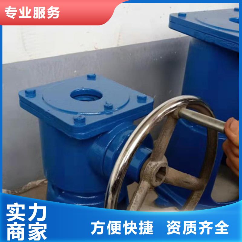 卷扬启闭机厂家品质可靠