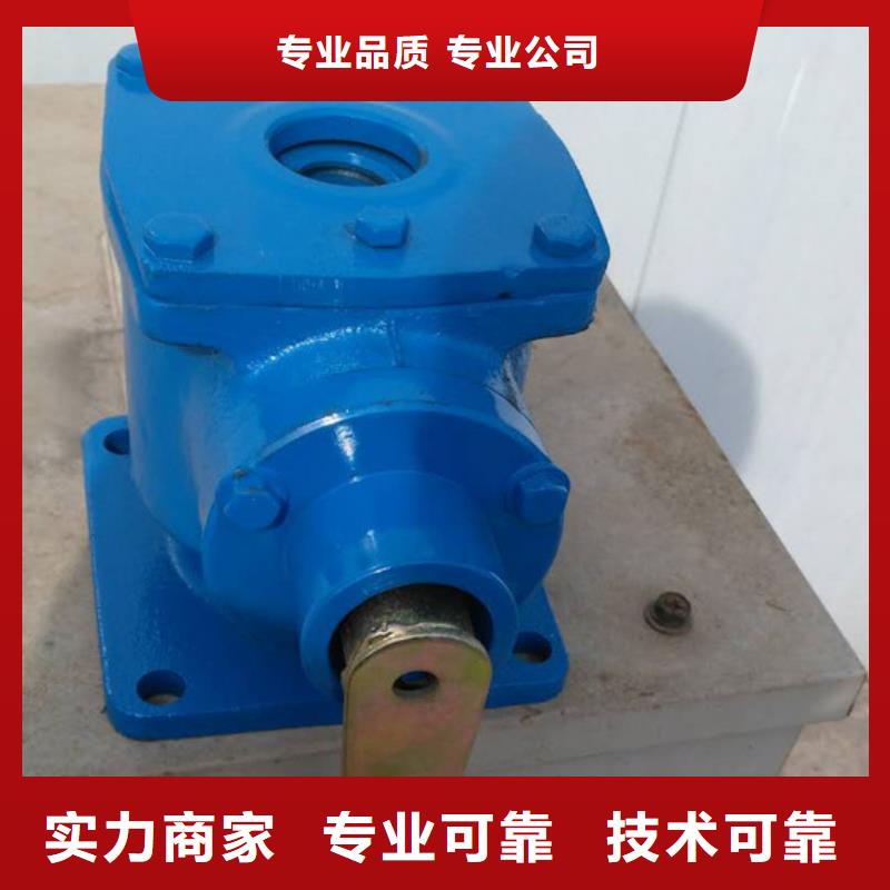 启闭机闸门双吊点手电两用启闭机品质保障