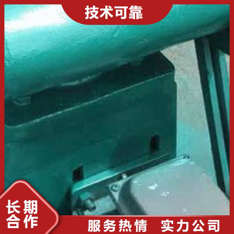 常年供应侧摇启闭机厂家