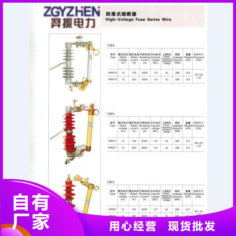 熔断器高压支柱绝缘子有实力有经验