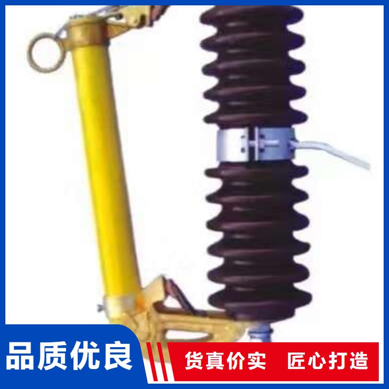 熔断器复合绝缘子性价比高