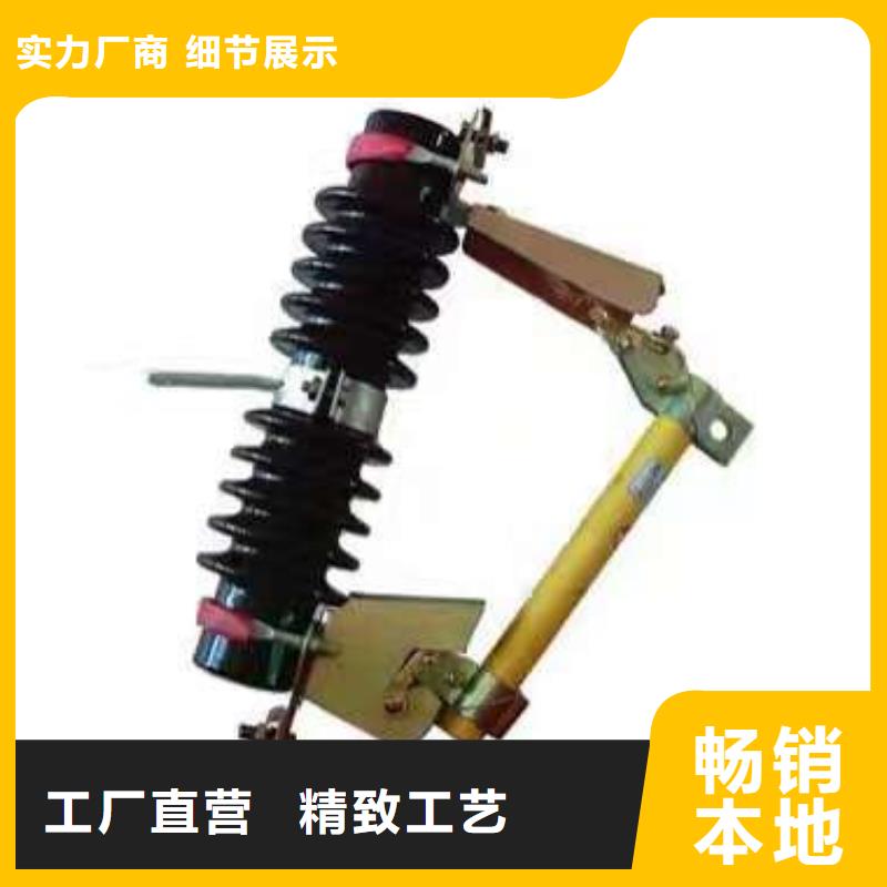 出口型瓷瓶跌落保险DG-2-15/100A..