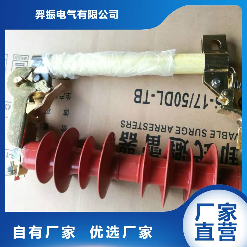 熔断器金属氧化物避雷器实力商家供货稳定