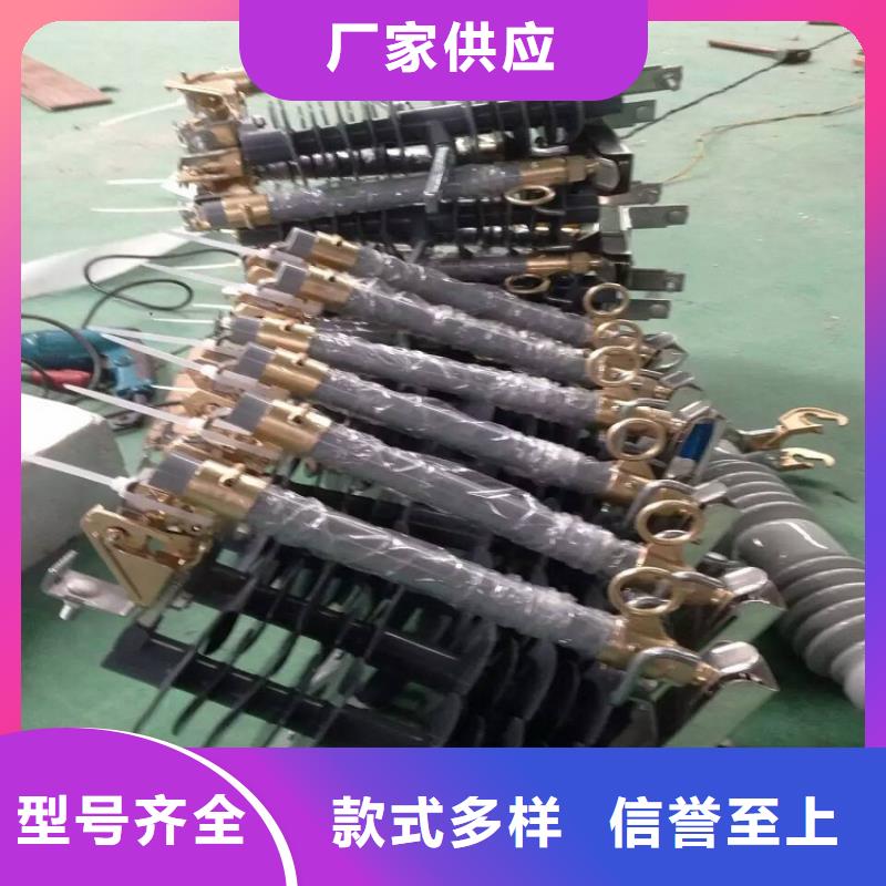 熔断器白色陶瓷绝缘子精挑细选好货