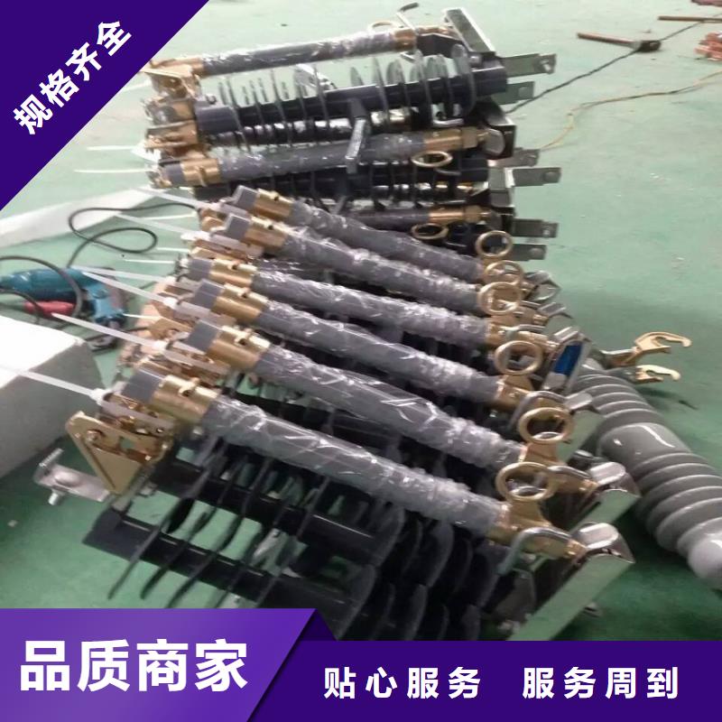 熔断器复合绝缘子性价比高