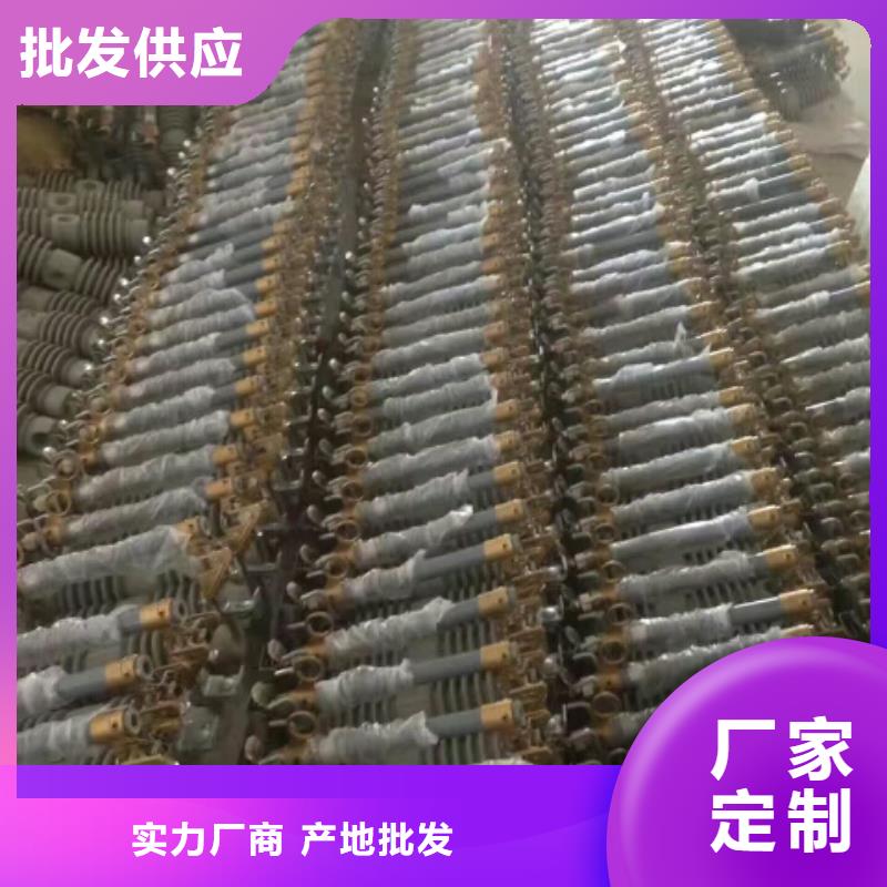 熔断器复合绝缘子性价比高