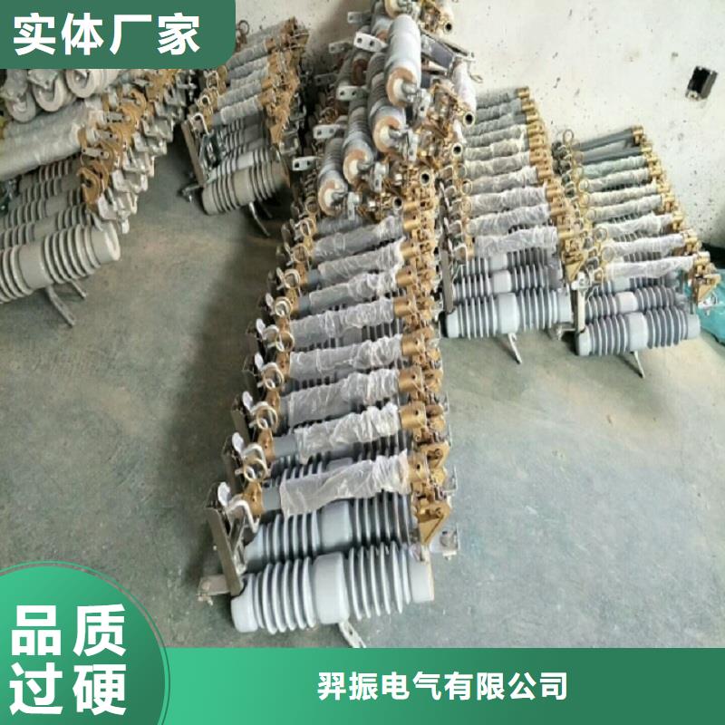 熔断器 金属氧化物避雷器实体厂家支持定制
