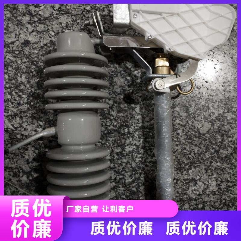 熔断器【【避雷器】】欢迎来电咨询