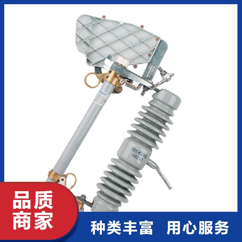 【熔断器】-高压支柱绝缘子买的放心