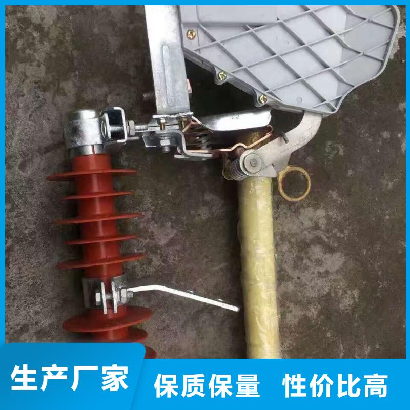 熔断器[柱式绝缘子]保障