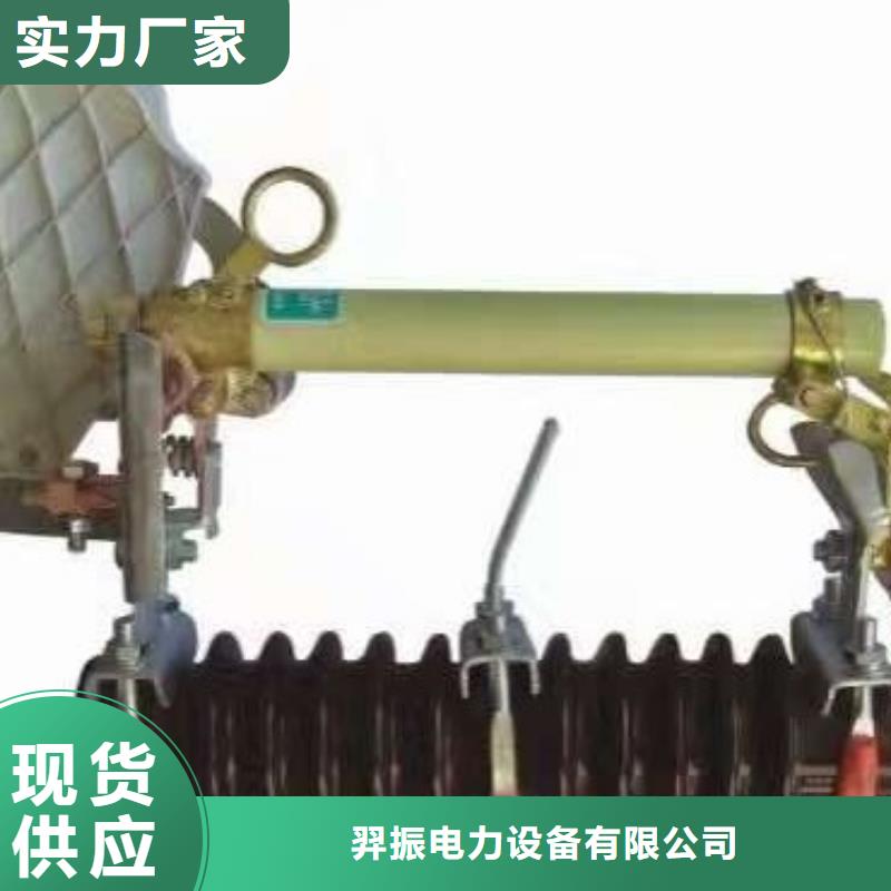 【熔断器】-高压支柱绝缘子买的放心
