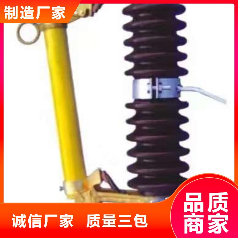 熔断器【户外绝缘件】一对一为您服务