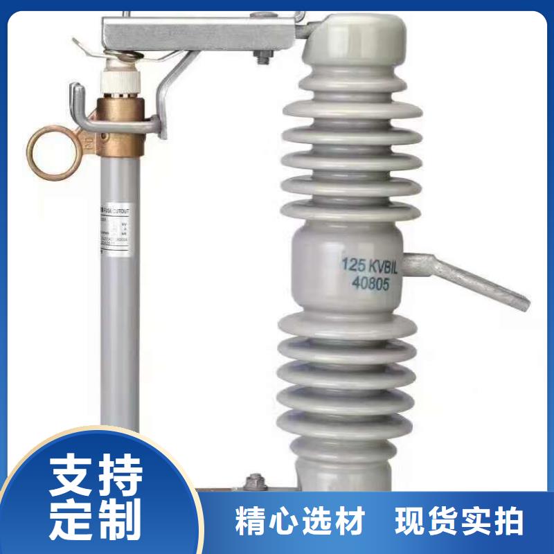 熔断器【户外绝缘件】一对一为您服务