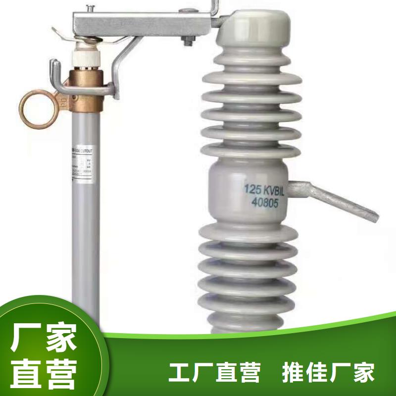 熔断器跌落式熔断器大品牌值得信赖