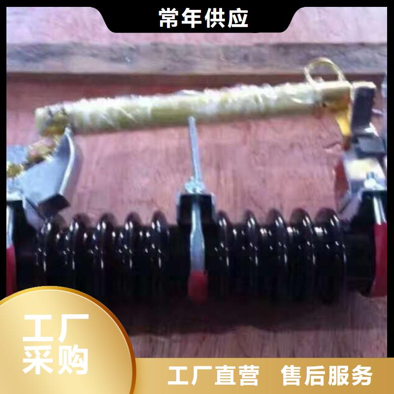 熔断器[柱式绝缘子]保障