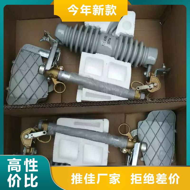 熔断器 户外绝缘件细节展示