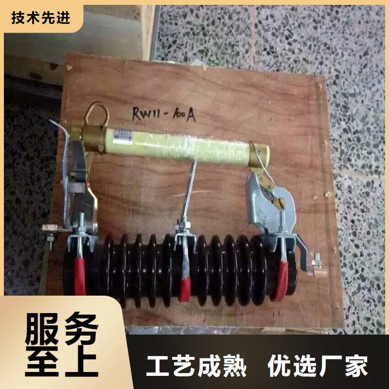 熔断器【高压真空断路器】定制速度快工期短