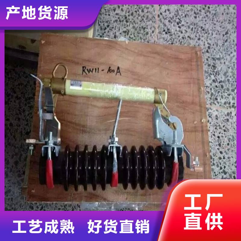 熔断器【户外绝缘件】一对一为您服务