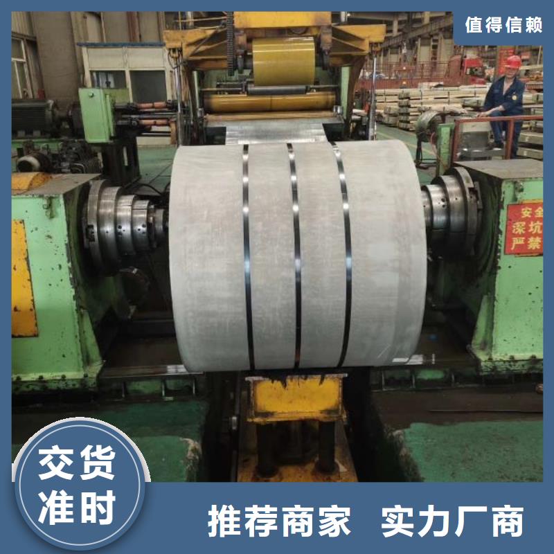 高磁感取向电工钢		B23P095品牌厂家
